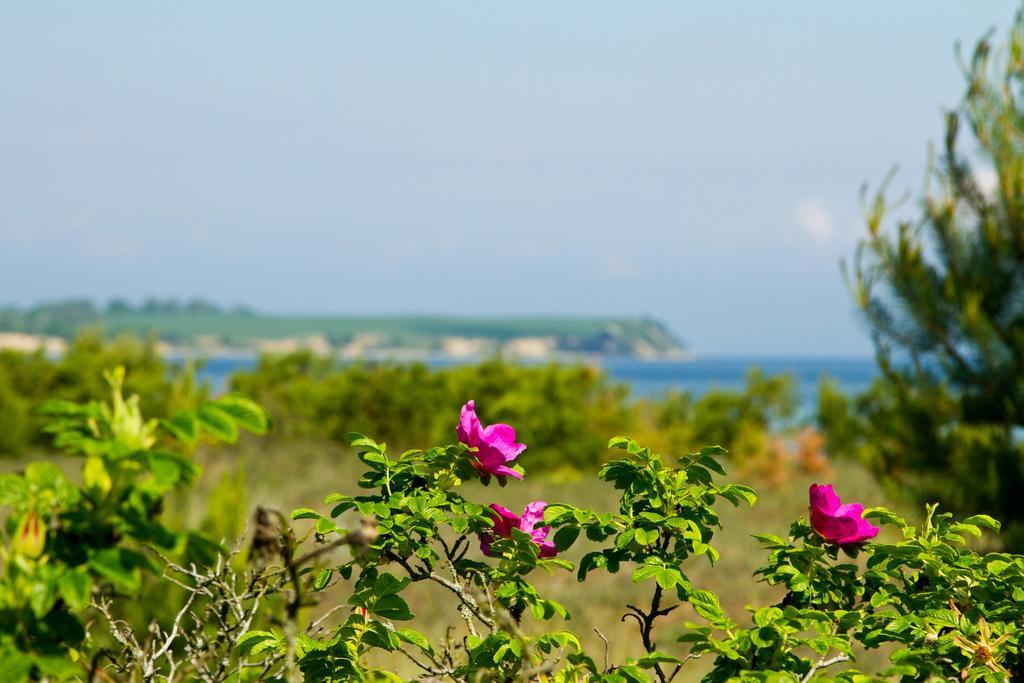 Hotel Garni Auszeit Boltenhagen  Εξωτερικό φωτογραφία
